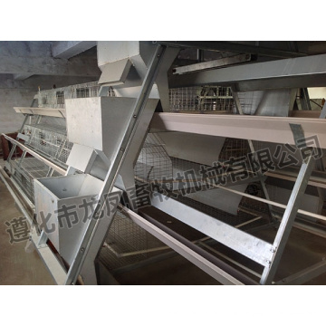 Hot Sale Galvanized Broiler Cage Certificate of ISO9001 (cadre H)